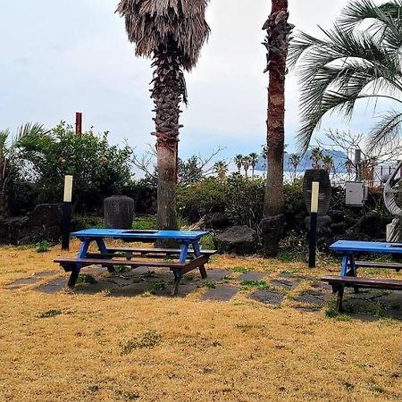 Jeju Castle Villa Dış mekan fotoğraf